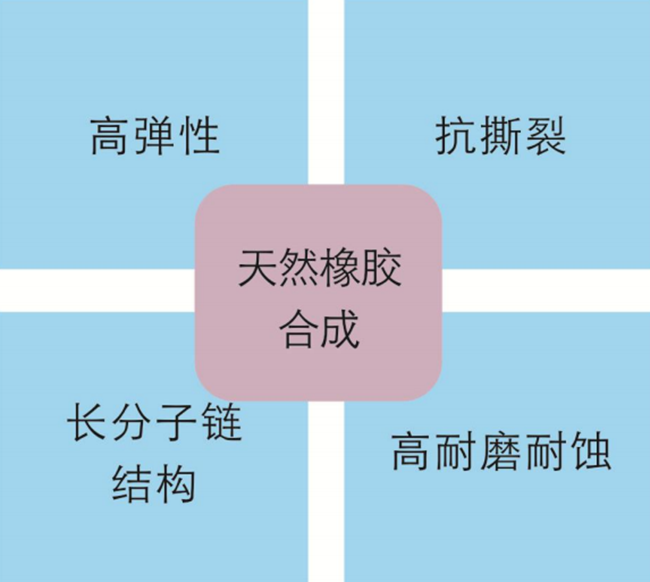 進口結構的膠管閥膠管特點